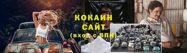 ПСИЛОЦИБИНОВЫЕ ГРИБЫ Коряжма