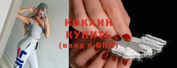 ПСИЛОЦИБИНОВЫЕ ГРИБЫ Коряжма